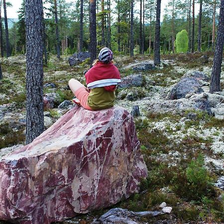 16 - Fulufjellets Nasjonalparker - Natur-, Dyre- Og Fugleopplevelser Ljørdal Exteriér fotografie