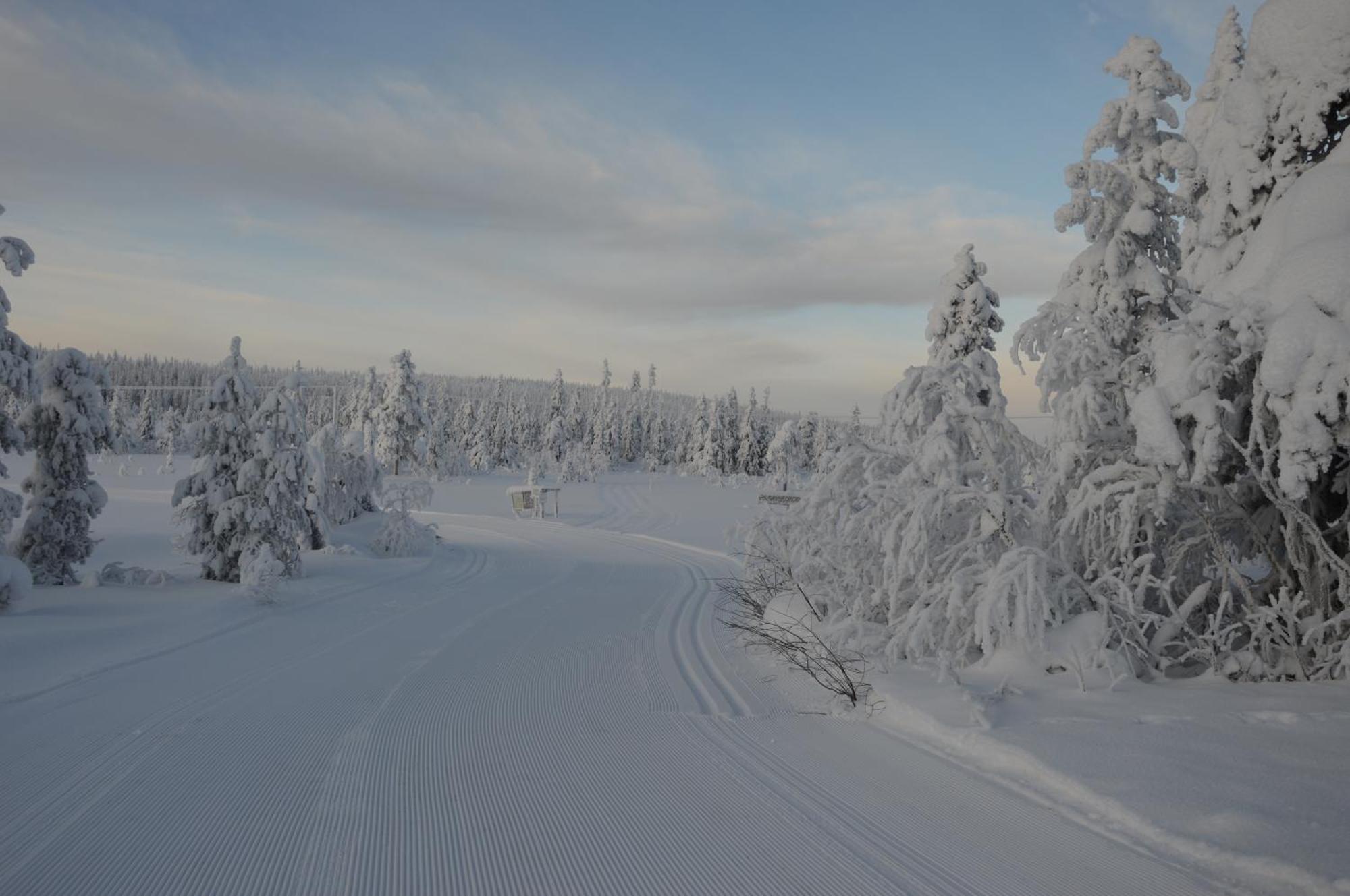 16 - Fulufjellets Nasjonalparker - Natur-, Dyre- Og Fugleopplevelser Ljørdal Exteriér fotografie