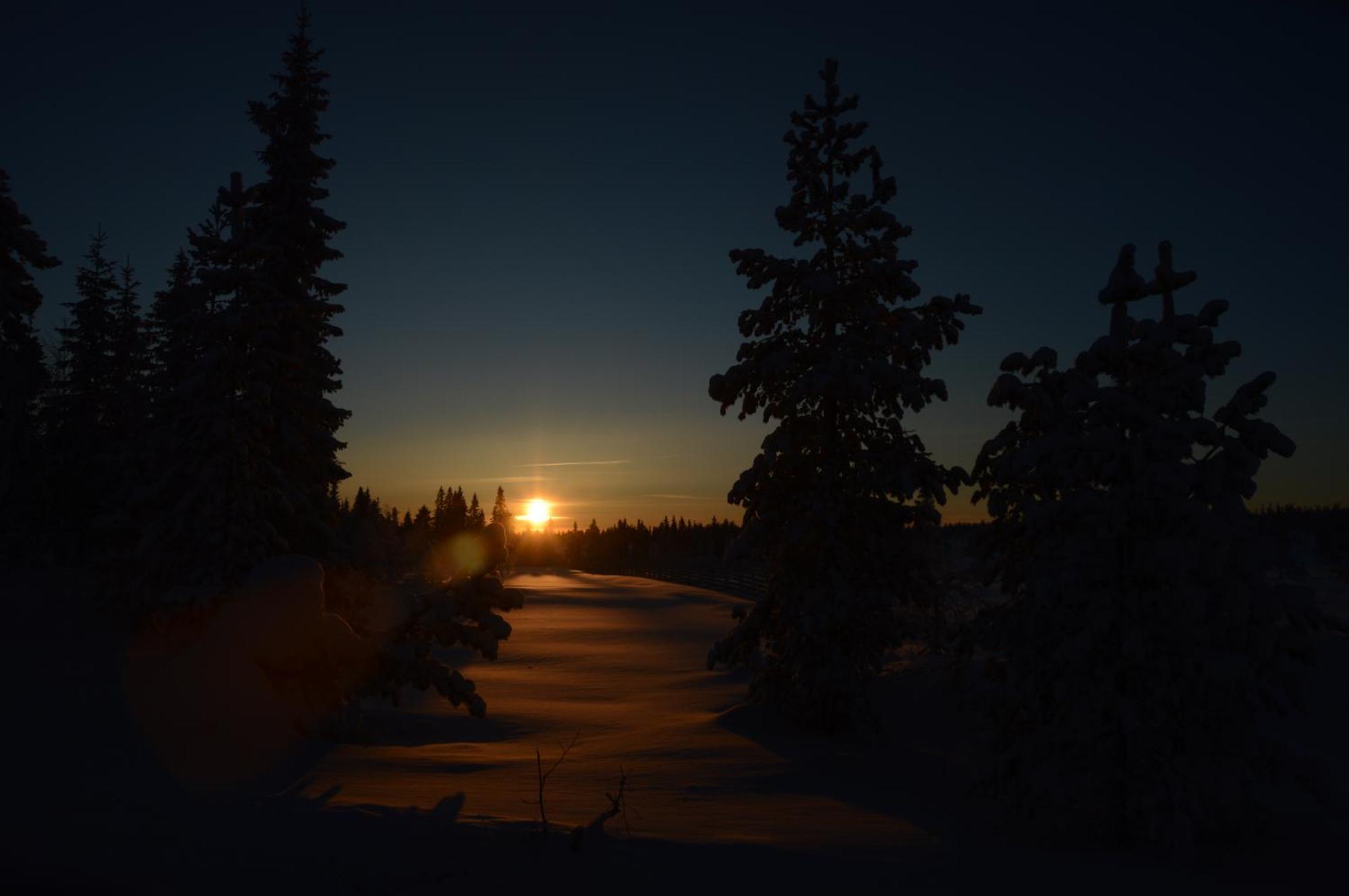 16 - Fulufjellets Nasjonalparker - Natur-, Dyre- Og Fugleopplevelser Ljørdal Exteriér fotografie