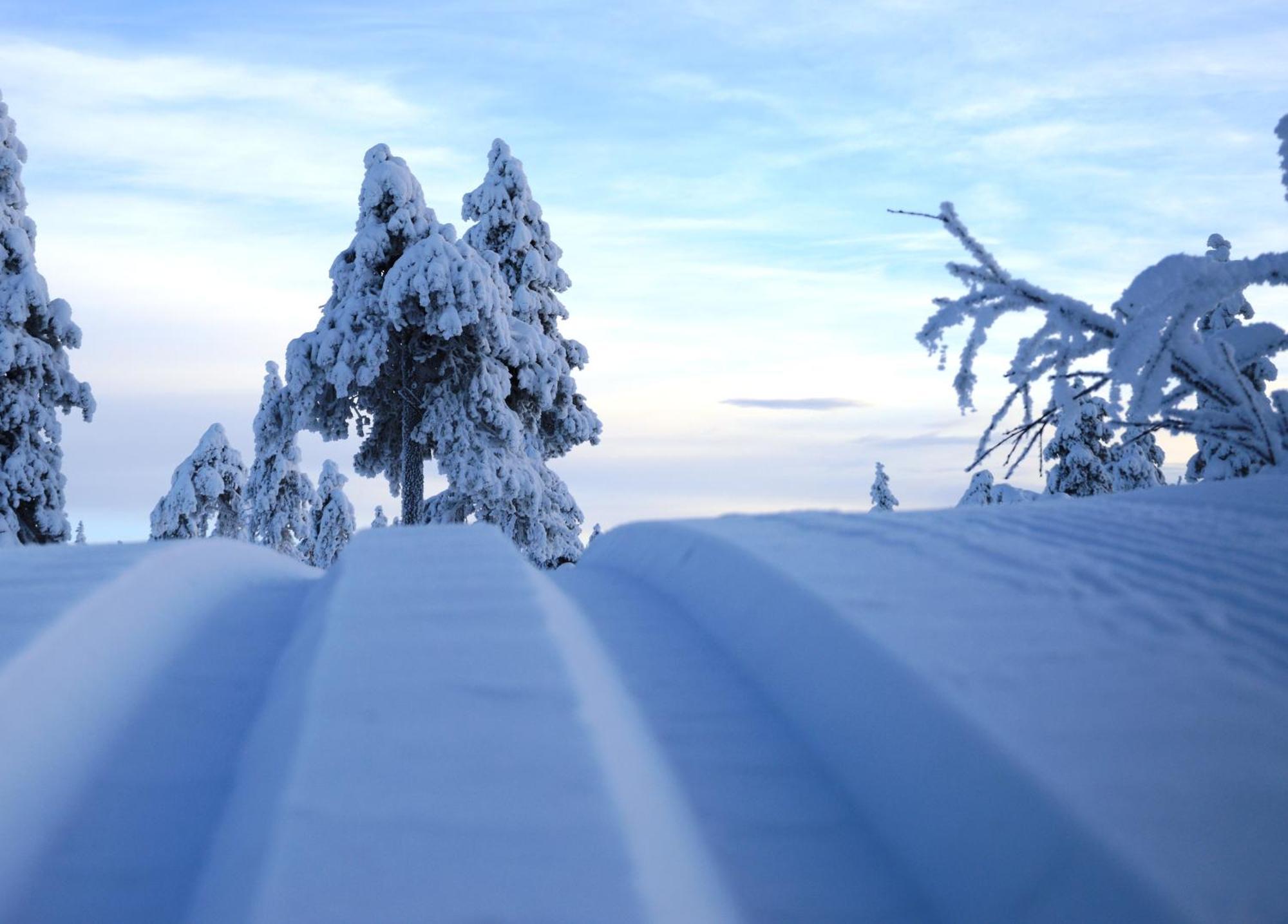 16 - Fulufjellets Nasjonalparker - Natur-, Dyre- Og Fugleopplevelser Ljørdal Exteriér fotografie
