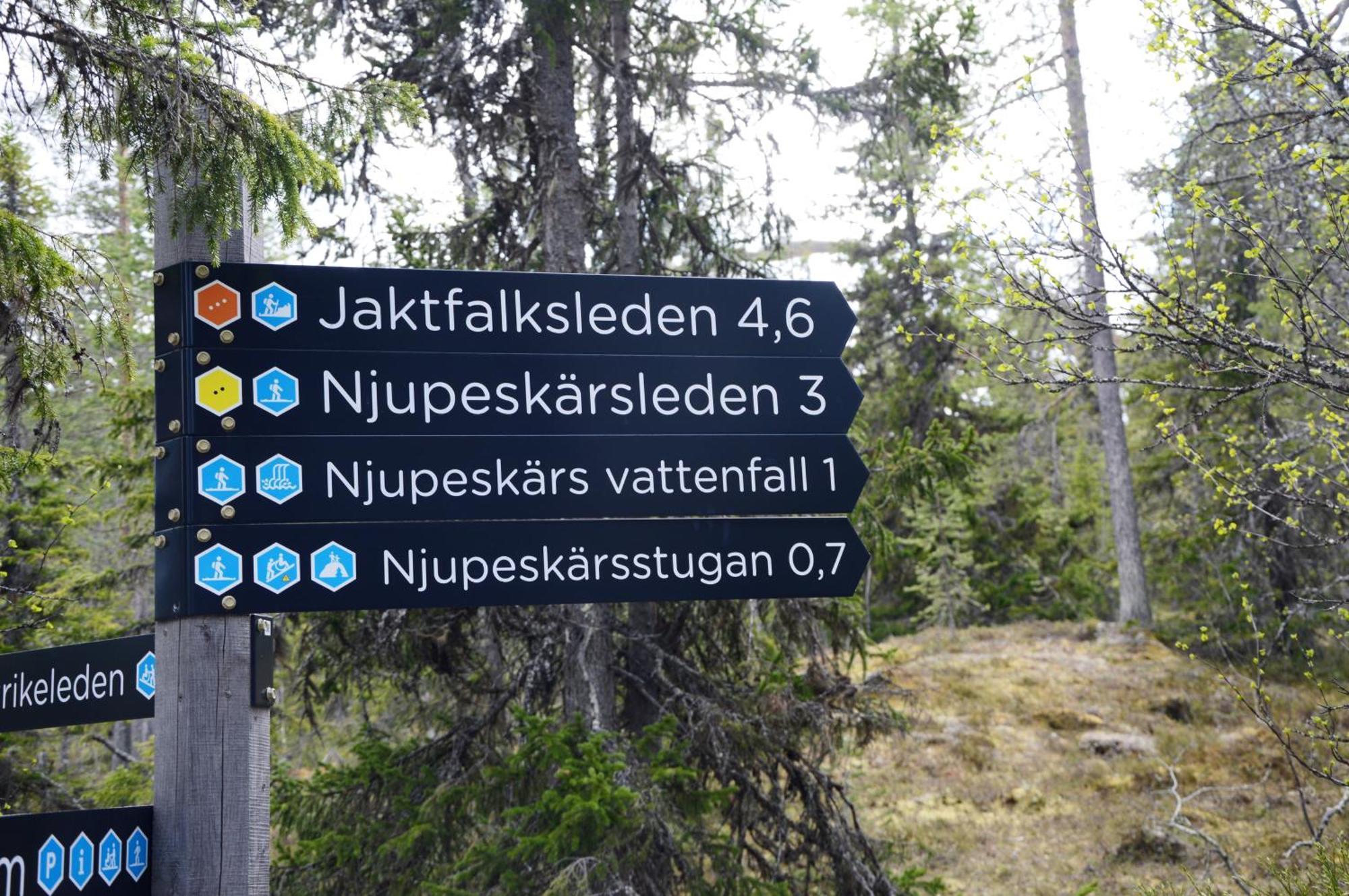 16 - Fulufjellets Nasjonalparker - Natur-, Dyre- Og Fugleopplevelser Ljørdal Exteriér fotografie