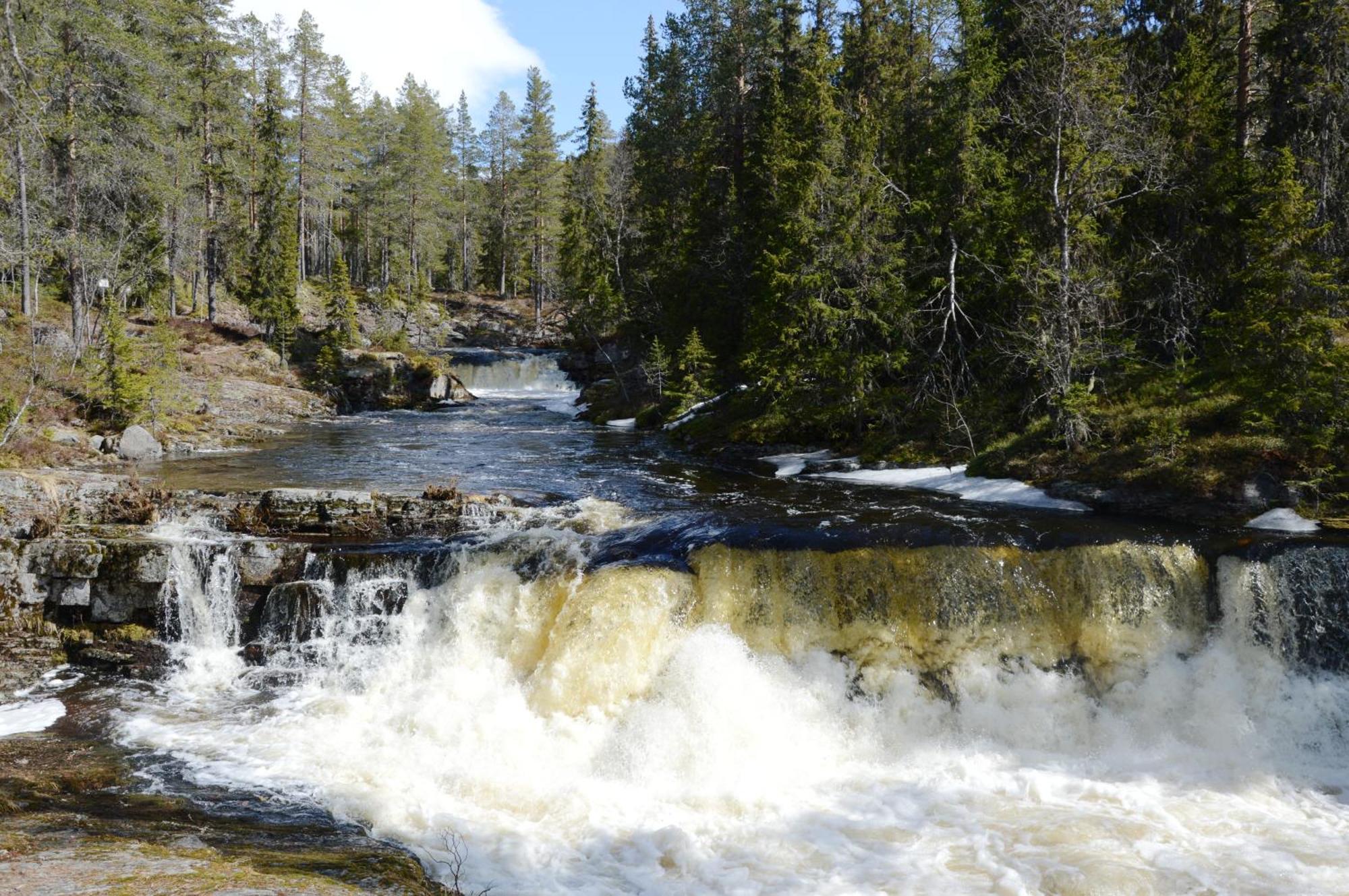 16 - Fulufjellets Nasjonalparker - Natur-, Dyre- Og Fugleopplevelser Ljørdal Exteriér fotografie