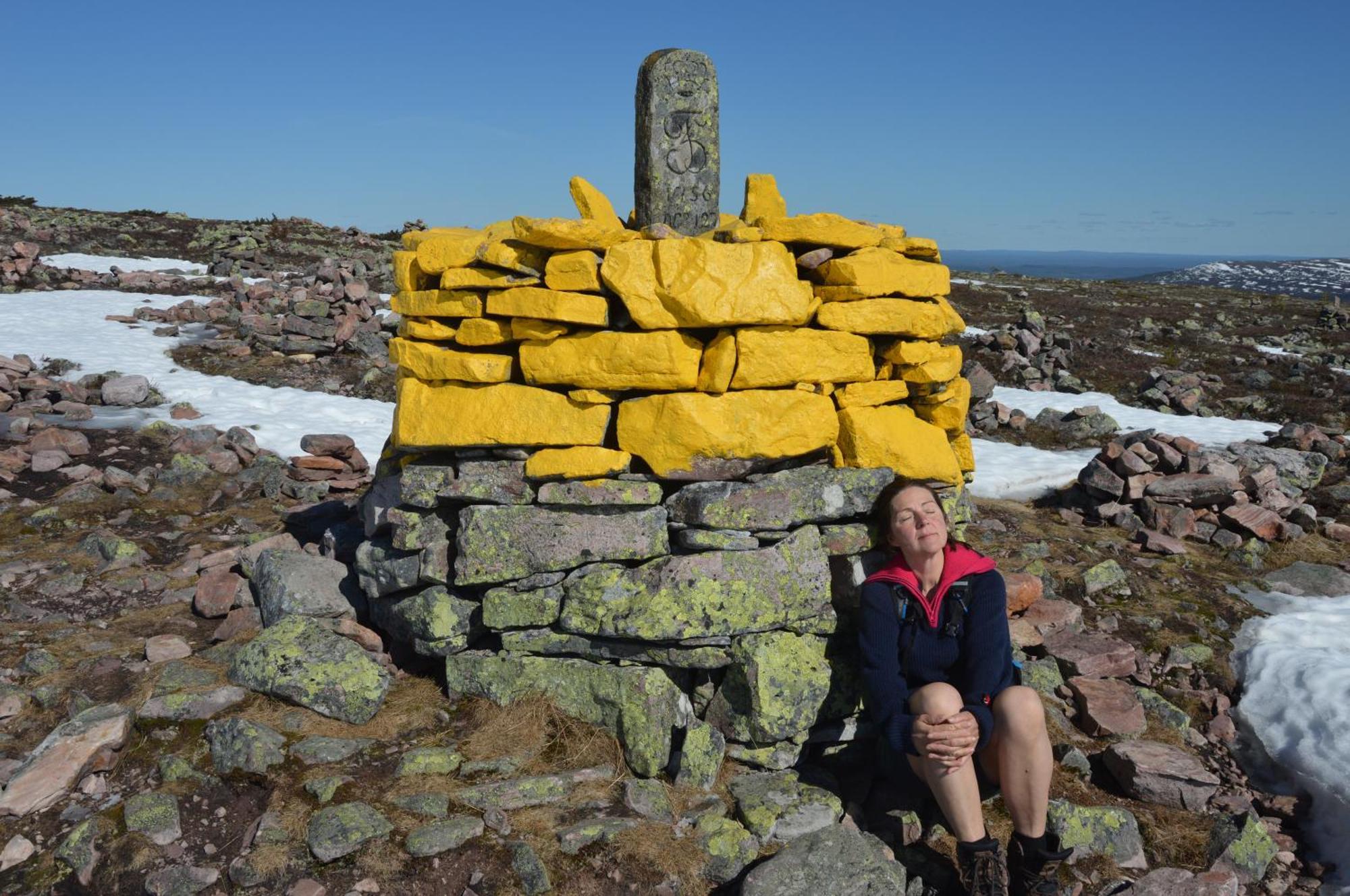 16 - Fulufjellets Nasjonalparker - Natur-, Dyre- Og Fugleopplevelser Ljørdal Exteriér fotografie