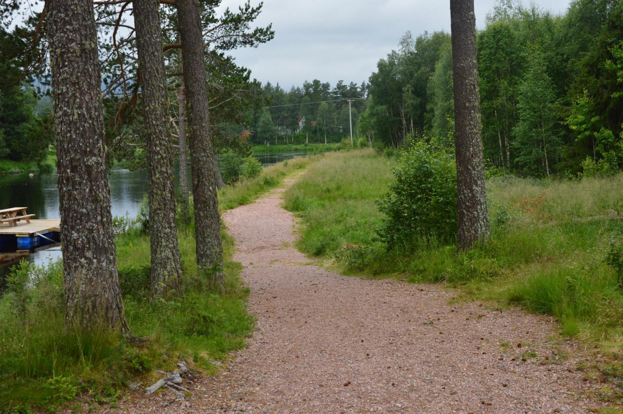 16 - Fulufjellets Nasjonalparker - Natur-, Dyre- Og Fugleopplevelser Ljørdal Exteriér fotografie