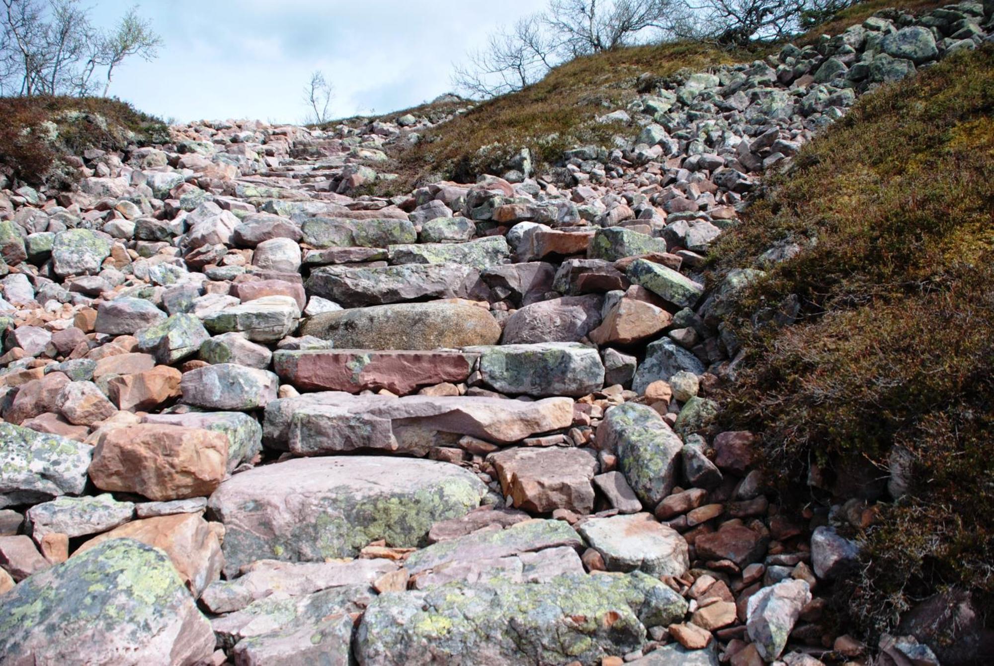 16 - Fulufjellets Nasjonalparker - Natur-, Dyre- Og Fugleopplevelser Ljørdal Exteriér fotografie