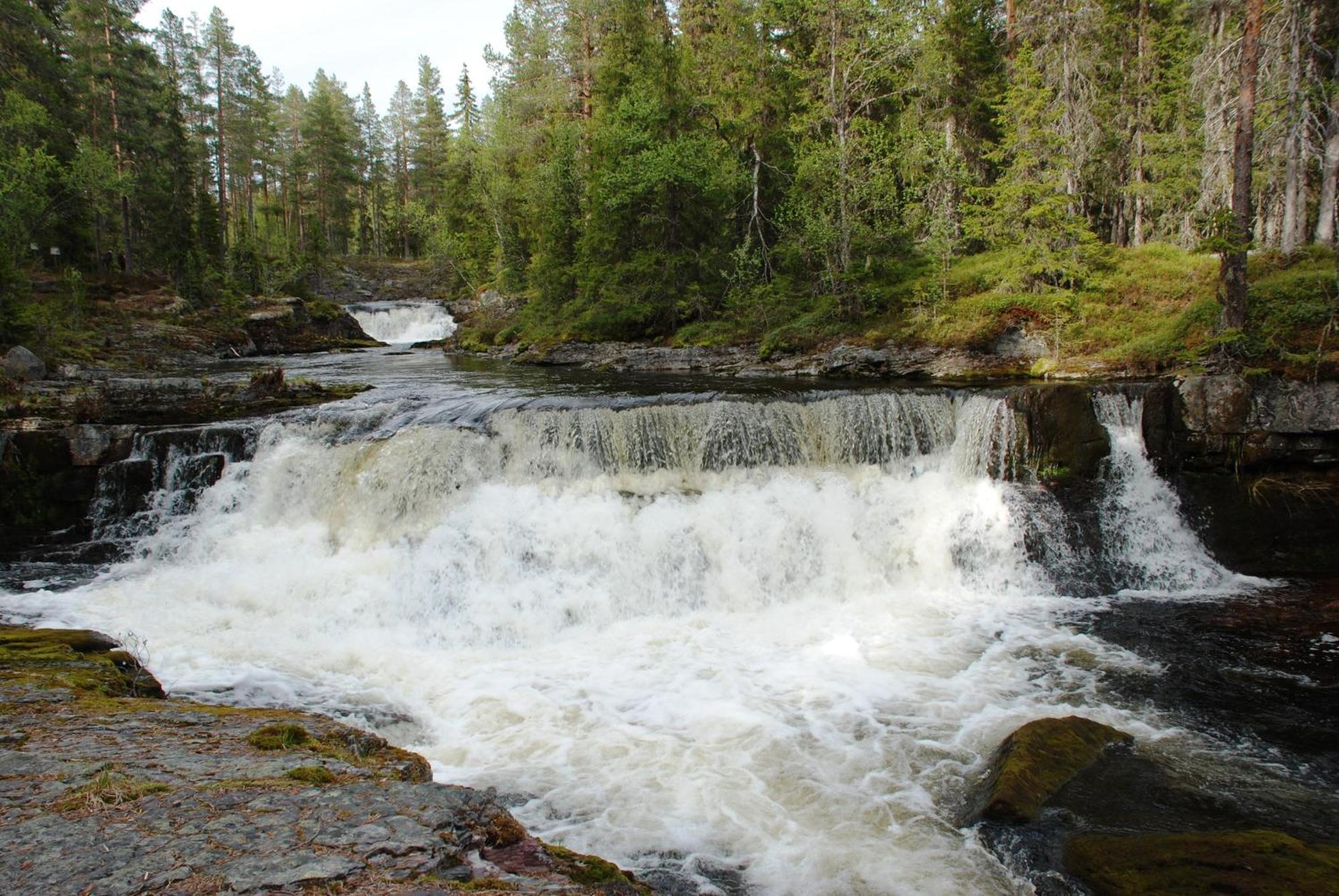 16 - Fulufjellets Nasjonalparker - Natur-, Dyre- Og Fugleopplevelser Ljørdal Exteriér fotografie