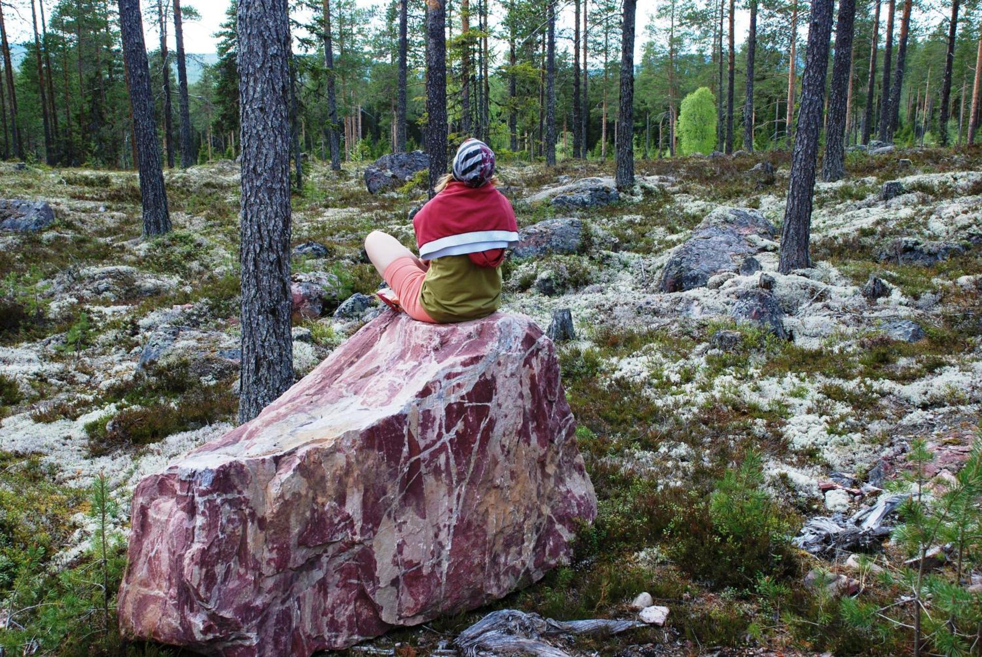 16 - Fulufjellets Nasjonalparker - Natur-, Dyre- Og Fugleopplevelser Ljørdal Exteriér fotografie